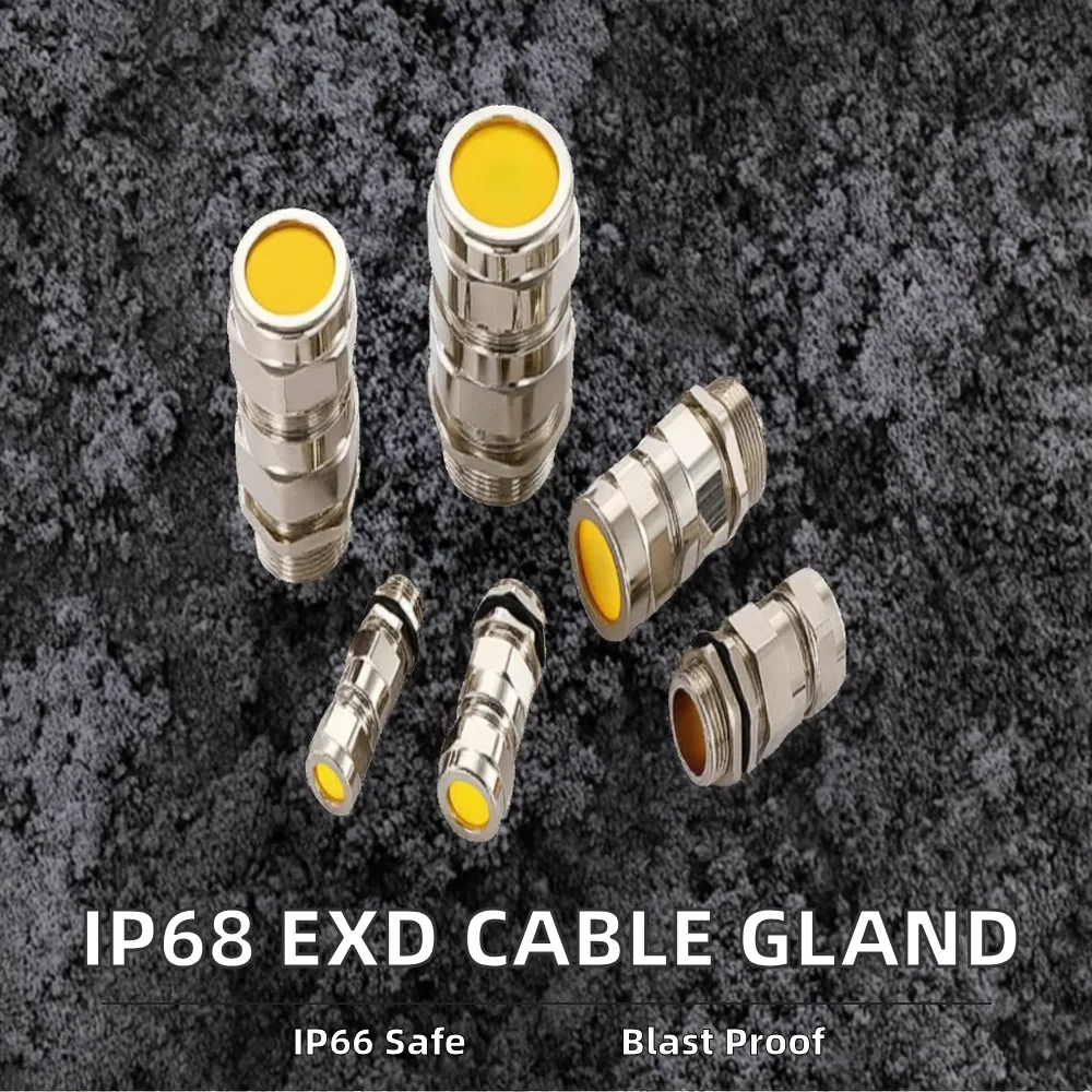 船用铠装双密封电缆接头防爆防水压盖304不锈钢铜IP68 IP67 - 图片 6